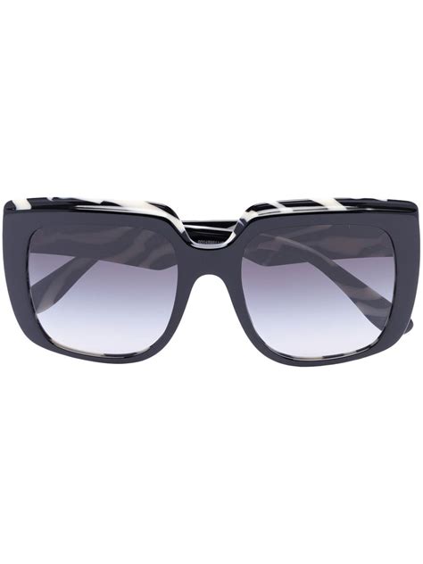 dolce gabbana zebra sunglasses